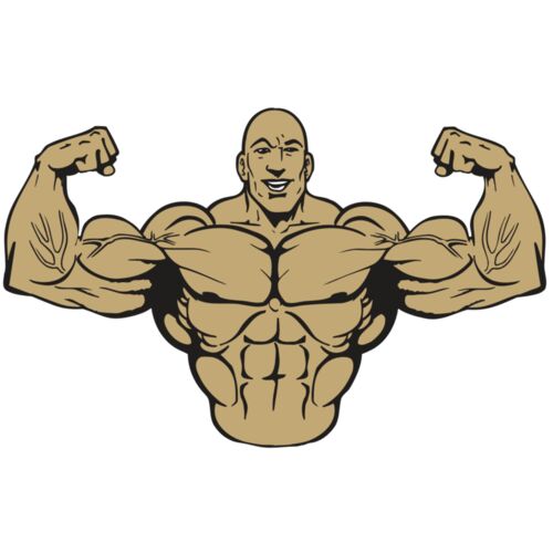 AR WEIGHTS 16 RQC Thumbnail