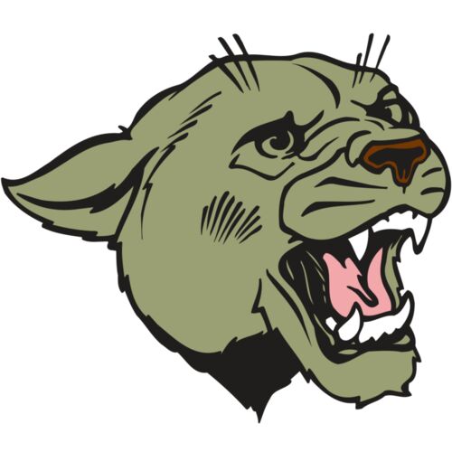 AR COUGAR 40 RC Thumbnail