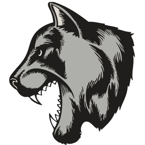 BAW COUG PANTH 06 RC Thumbnail