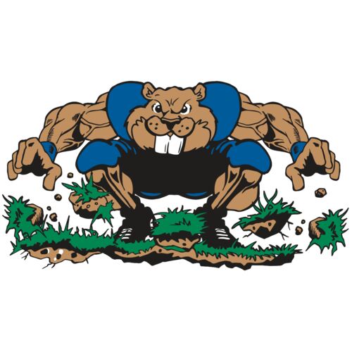 AR14 BEAVER FBLL 04 RQC Thumbnail