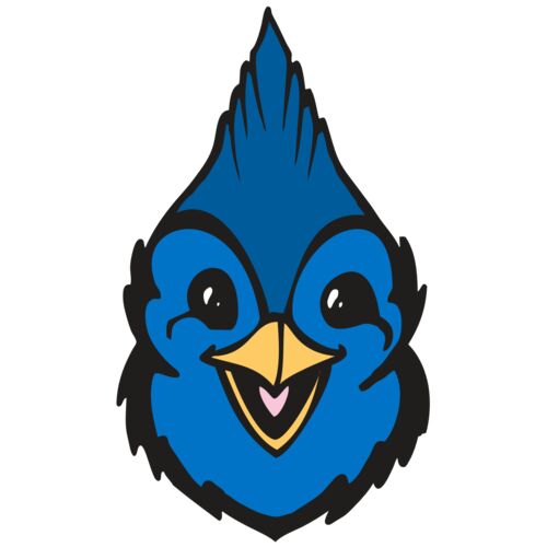 BAW BLUEJAY 19 RC Thumbnail