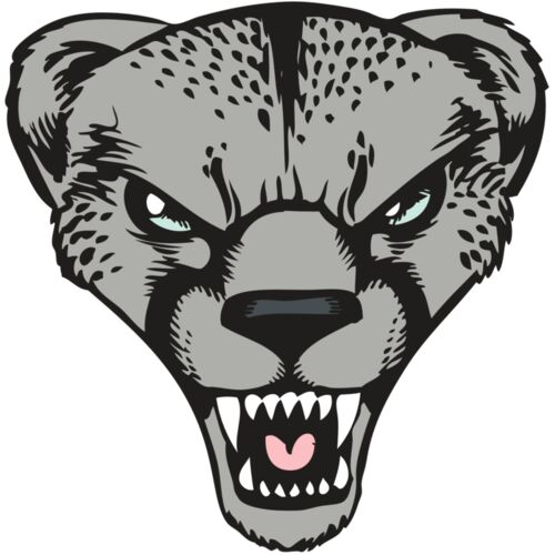 BAW CHEETAH 15 RC Thumbnail