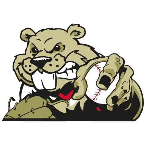 AR4 BEAVER 06 RQC Thumbnail