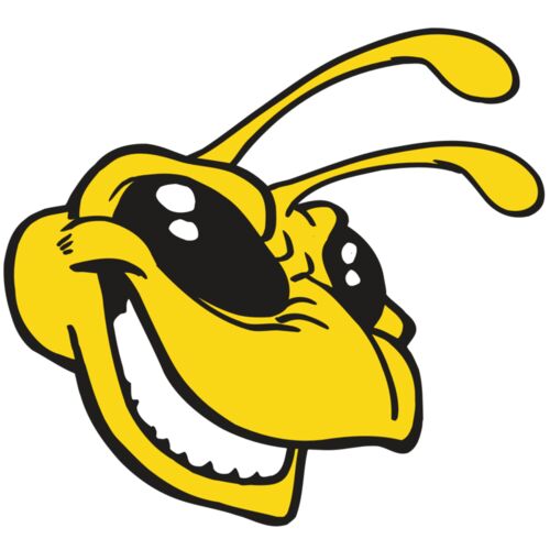 AR5 BEE 24 RQC Thumbnail