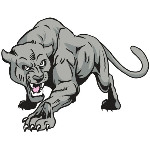 AR31 COUGAR 01 RQC Thumbnail