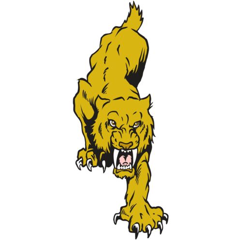 AR30 SABER 08 RQC Thumbnail