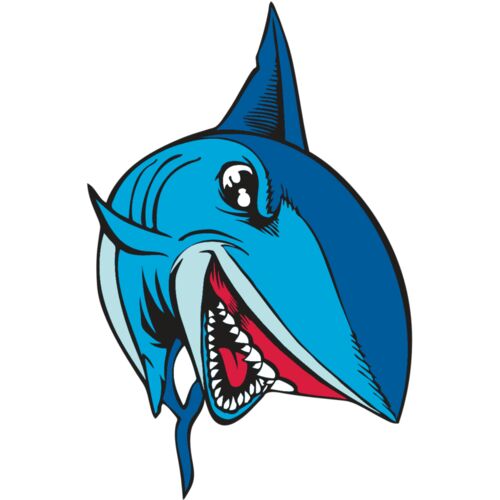 BAW SHARK 02 RC Thumbnail