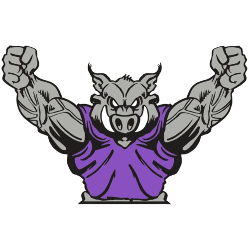 AR RAZORBACK 10 RC Thumbnail