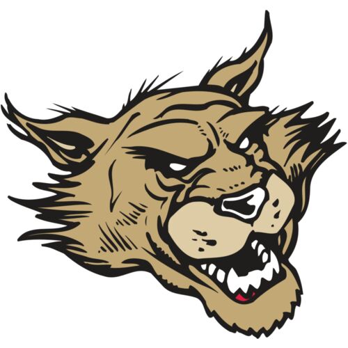 AR WILDCAT 39 RC Thumbnail