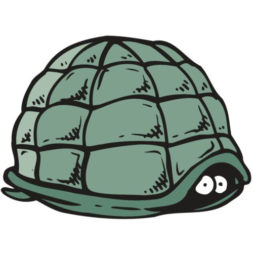 AR5 Turtle 10 RQC Thumbnail