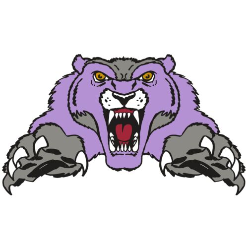 AR WOLVERINE 17 RC Thumbnail