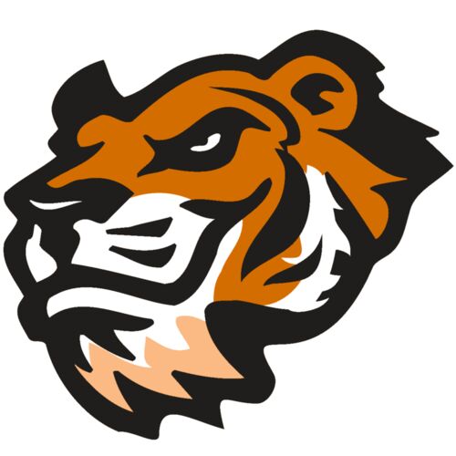 AR TIGER 21 RC Thumbnail