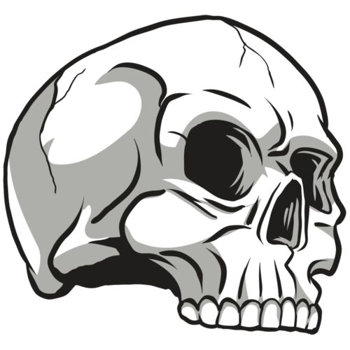 AR24 SKULL 10 RQC Thumbnail