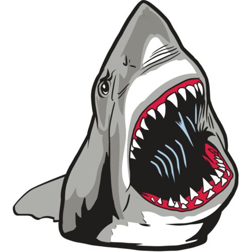 AR20 SHARK 45 RQC Thumbnail