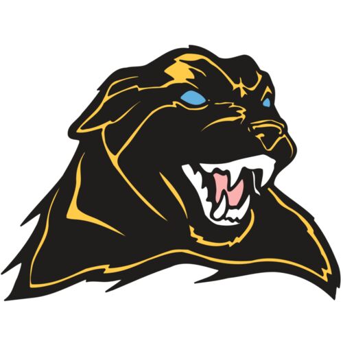 AR COUGAR 42 RC Thumbnail