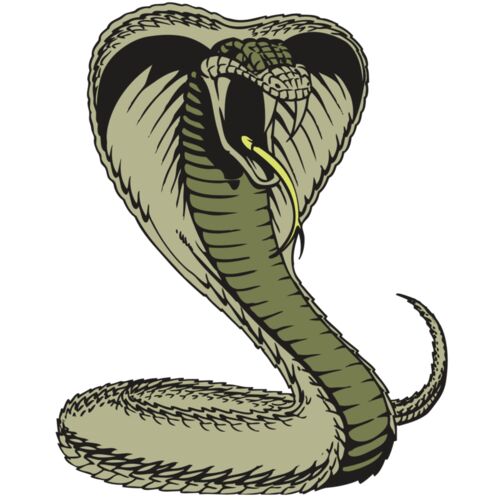 BAW SNAKE 07 RC Thumbnail