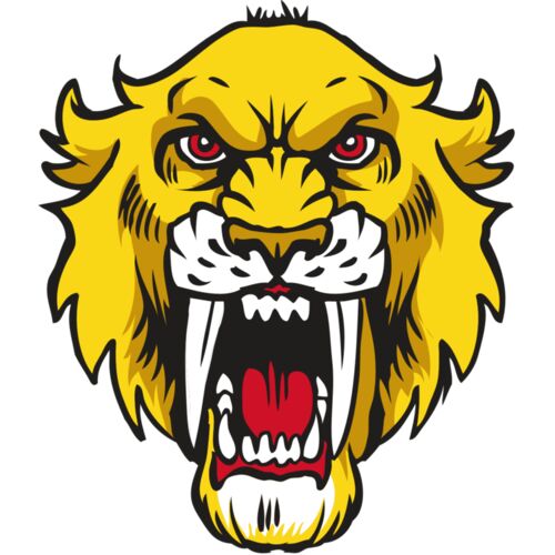 AR30 SABER 06 RQC Thumbnail