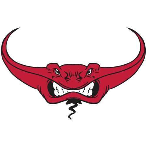 AR19 STINGRAY 03 RQC Thumbnail