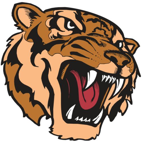 BAW TIGER 07 RC Thumbnail