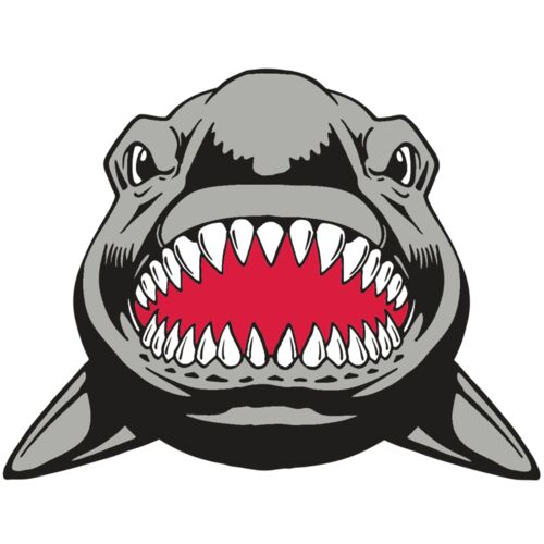 AR  SHARK 25 RC Thumbnail