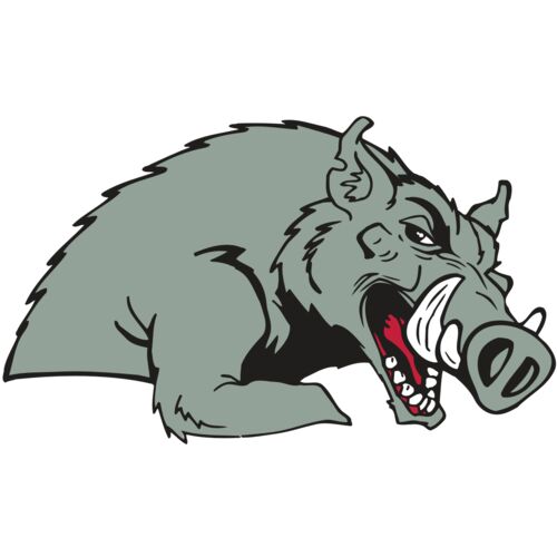 AR RAZORBACK 14 RC Thumbnail