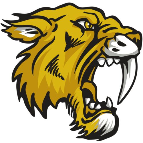 AR30 SABER 03 RQC Thumbnail